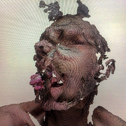 Interrupted 3D scan by artist Paul Coombs